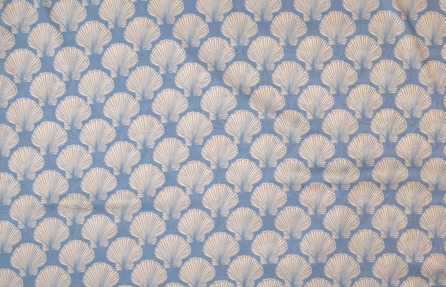 Seashells
